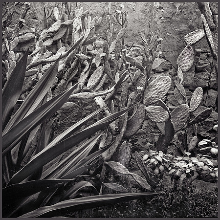 Secret Garden - Cairo - 1984