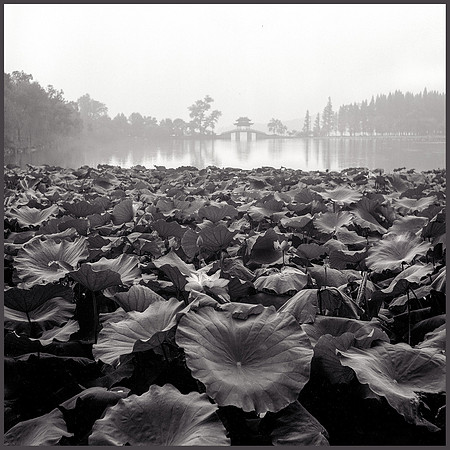 Hang Zhou - China - 1986